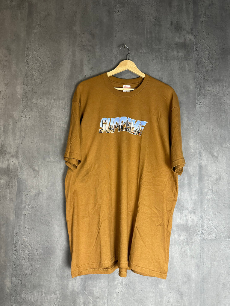 Supreme New York Skyline Logo Tee - Brown (XL)