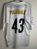 Troy Polamalu Steelers Jersey (Large Adult) Reebok / Super Bowl XLV (HOF 2021)